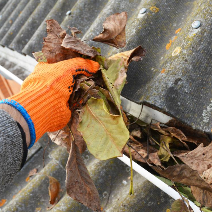 Gutter Cleaning